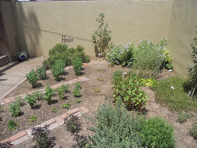 Image: Tucson Botanical Garden