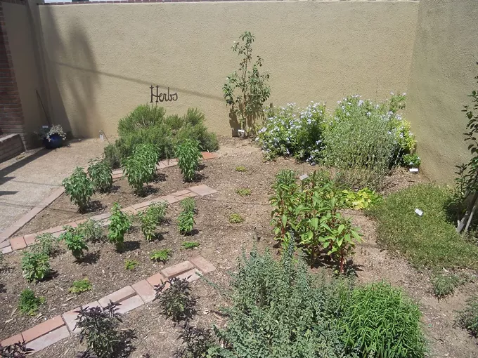 Image: Tucson Botanical Garden