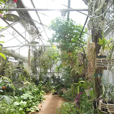 Image: Tucson Botanical Garden