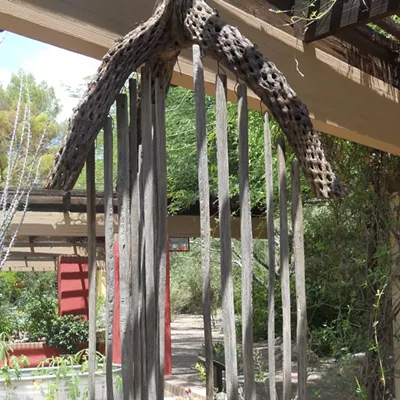 Image: Tucson Botanical Garden