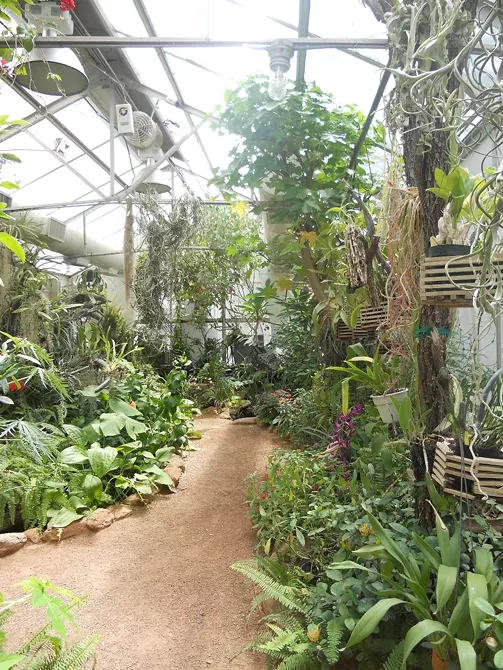 Image: Tucson Botanical Garden