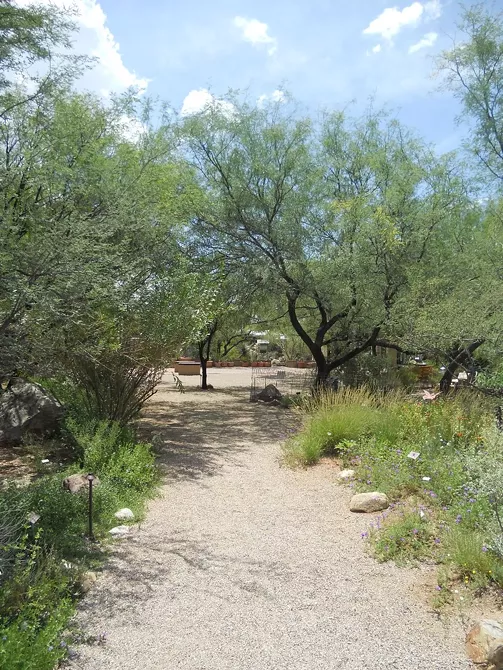 Image: Tucson Botanical Garden