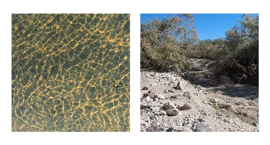 an_arid_barrier.webp