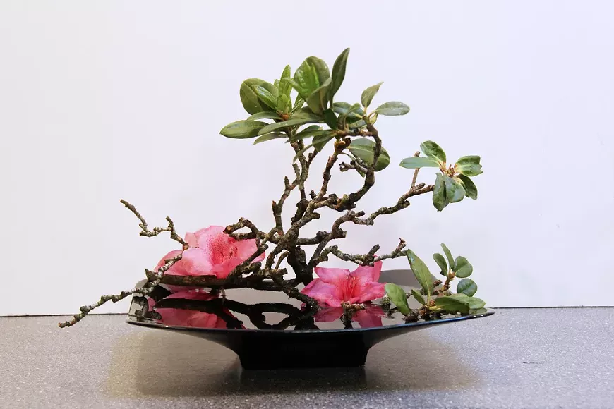 ikebana_arrangement_ii.webp