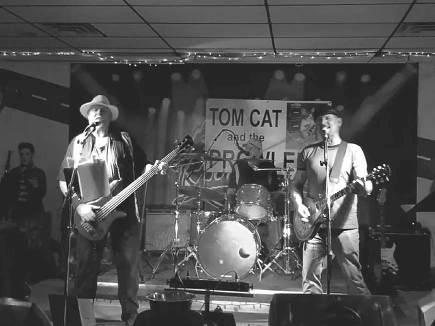 black_and_white_tom_cat.webp