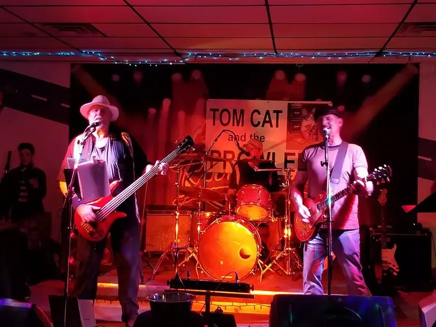 tom_cat_live.webp