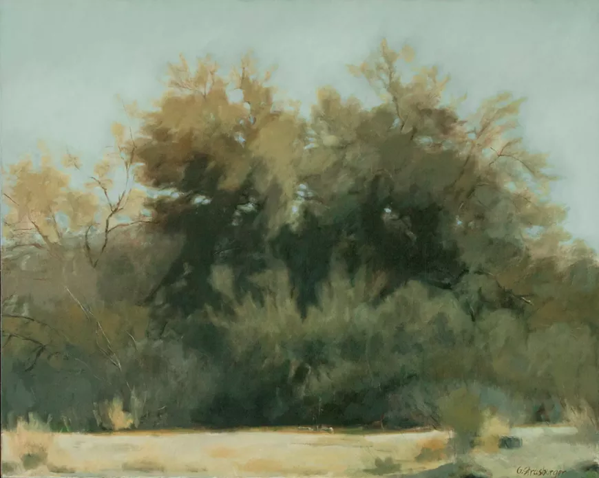 thornydale_near_costco.webp