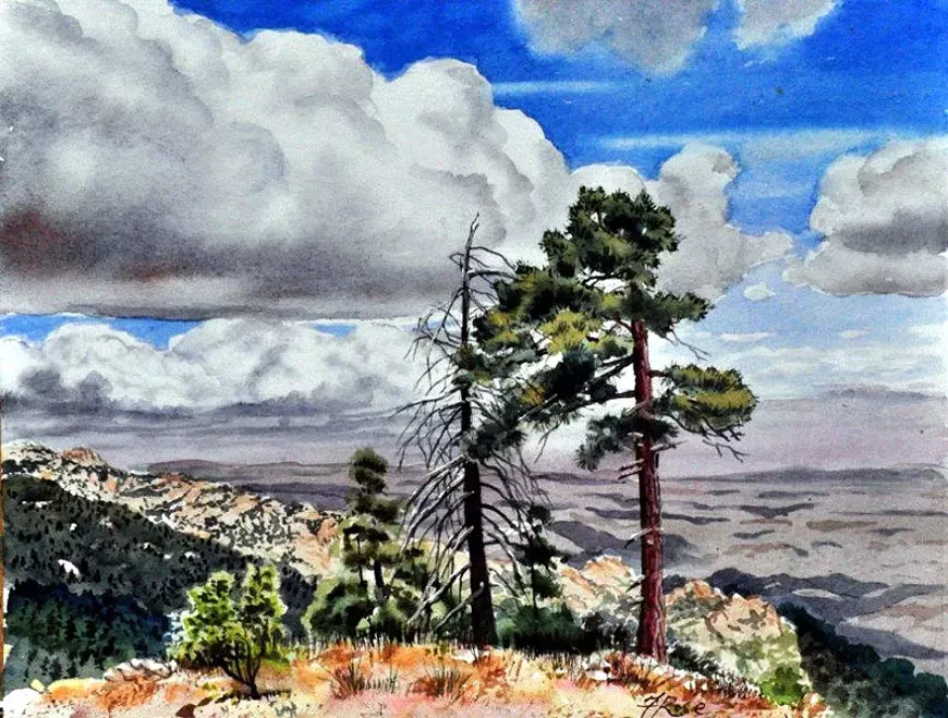 frank_rose.view_from_red_ridge.webp