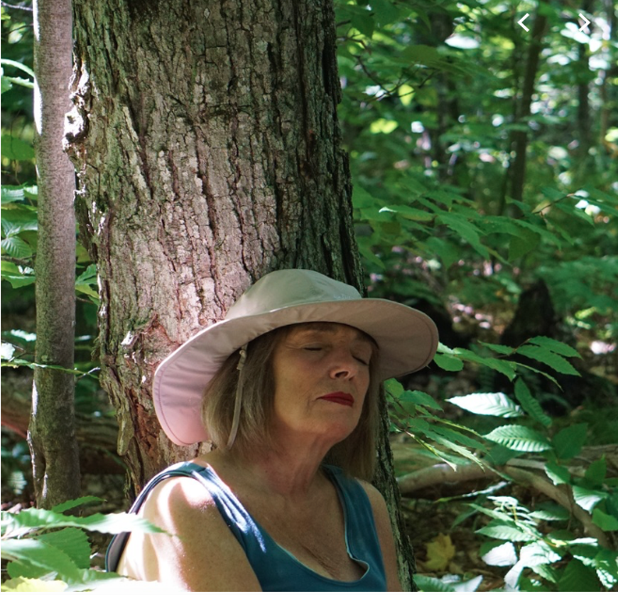 Shinrin-yoku "forest bathing"