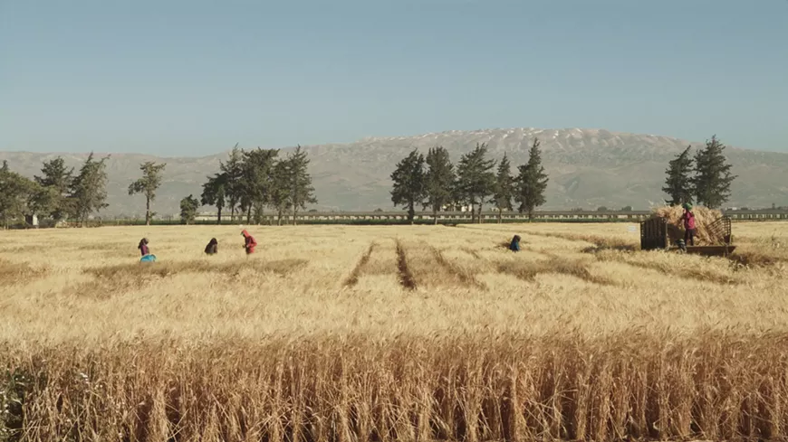 groping_featuring_wild_relatives_copy.webp