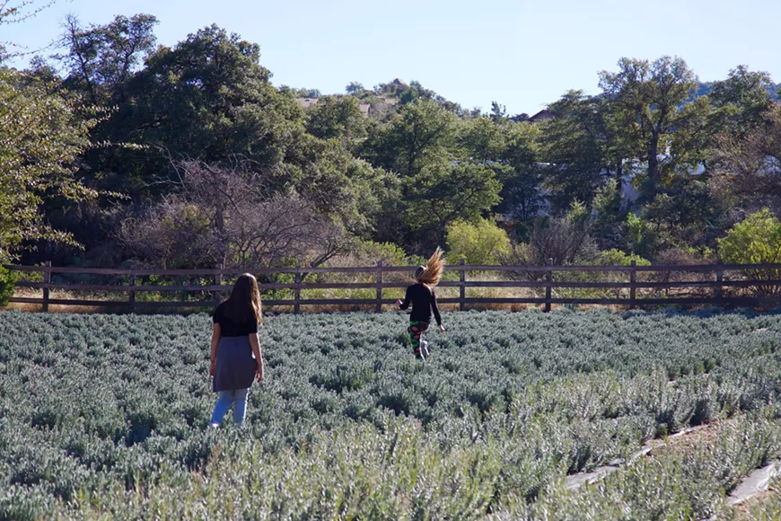 farm_-_32.webp