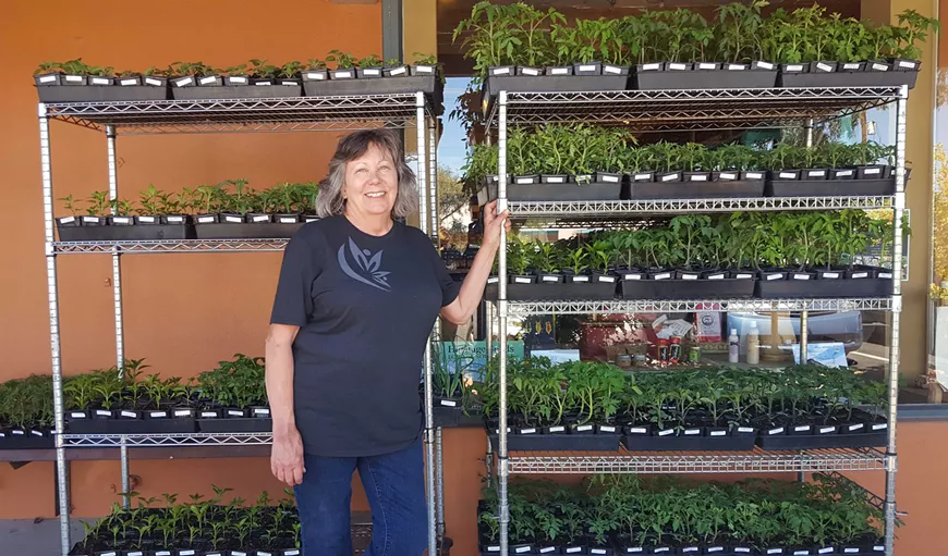 Local grower, Suzanne Vilardi, of Vilardi Gardens getting NS/S stocked up for the plant sale.