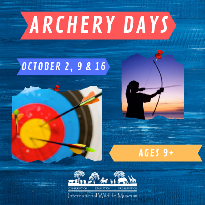 archery_500x500.png
