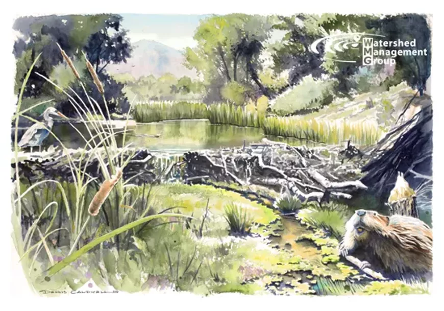 Watch a screening of "The Beaver Believers," glean fascinating facts from a panel of local beaver experts, enjoy brews from Pueblo Vida, dinner from Fiamme Pizza food truck, and more!