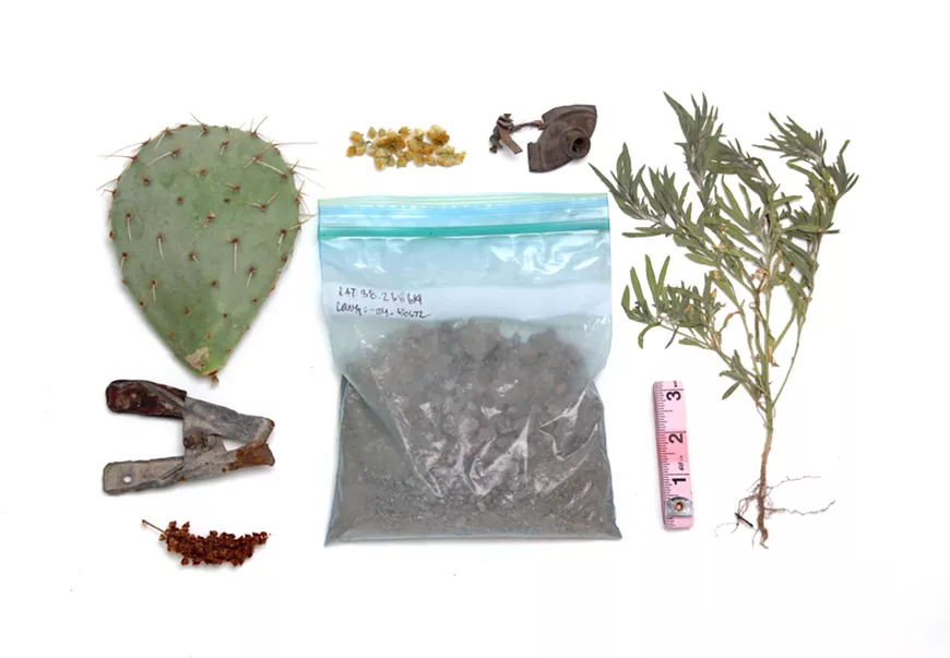 details: Desertification Cookbook