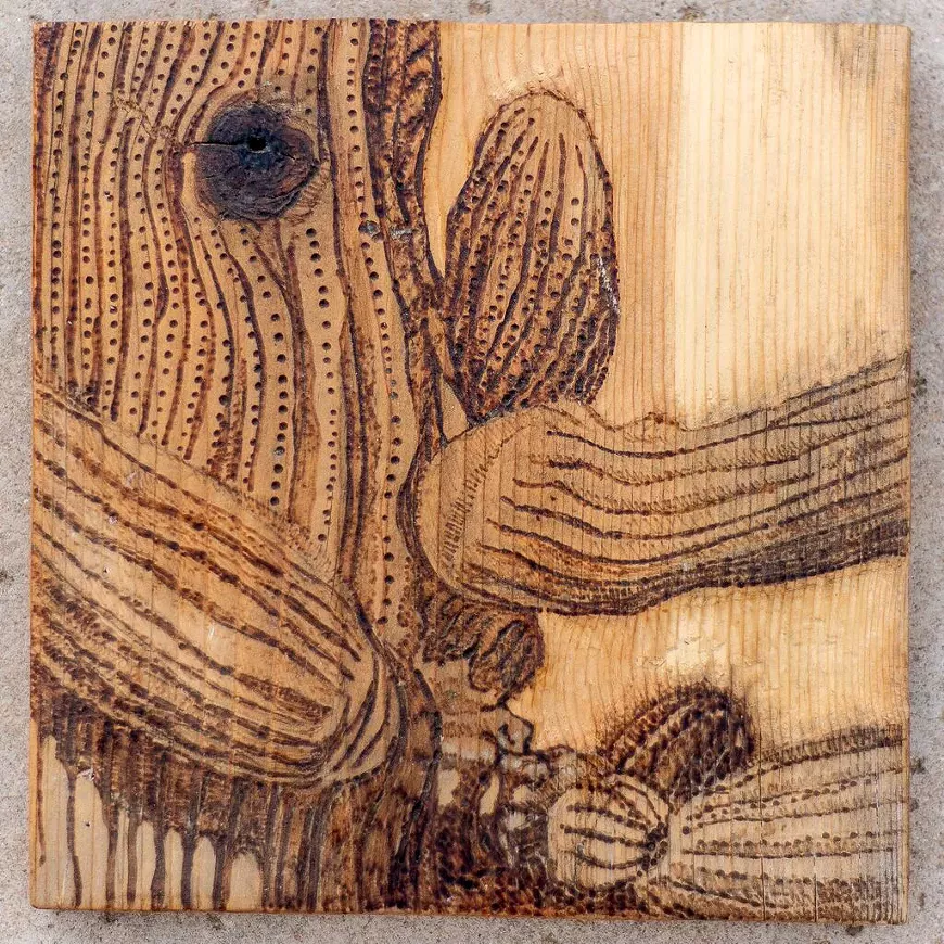 Pyrography, or "fire-writing,&rdquo; is the controlled application of heat by a metal wire, a  process that mimics a pen & ink drawing.