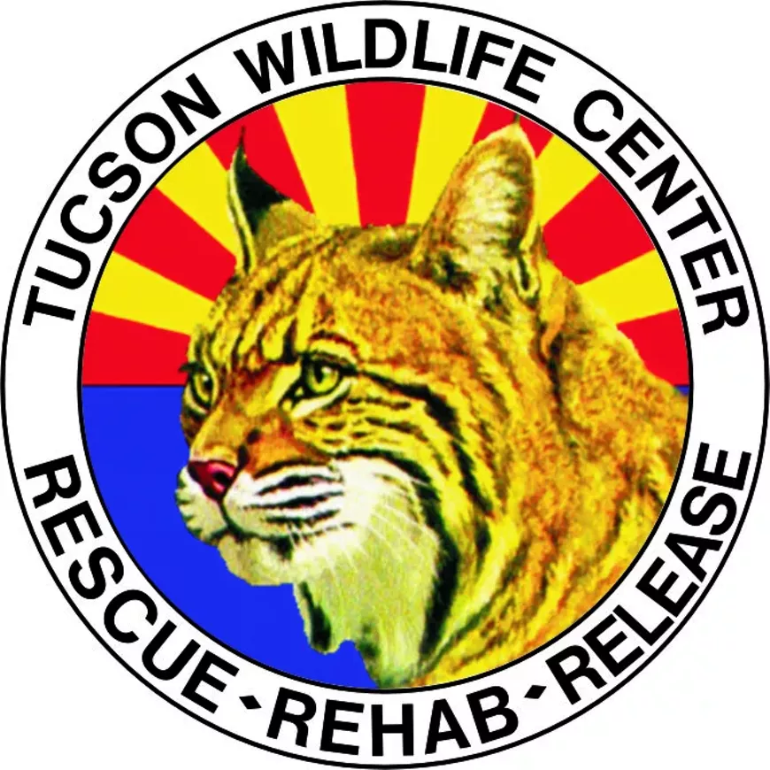 new_logo-twc-3.webp