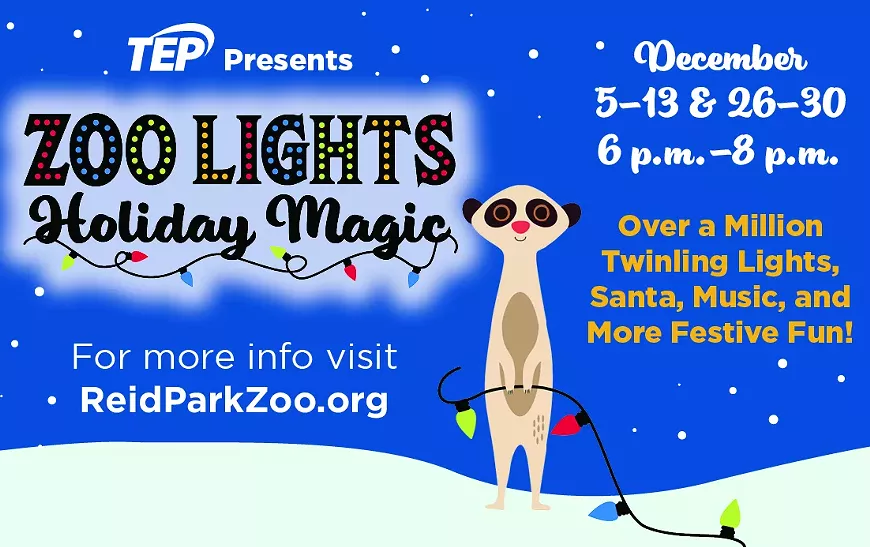 bear_essentials_ad_-_zoo_lights.webp