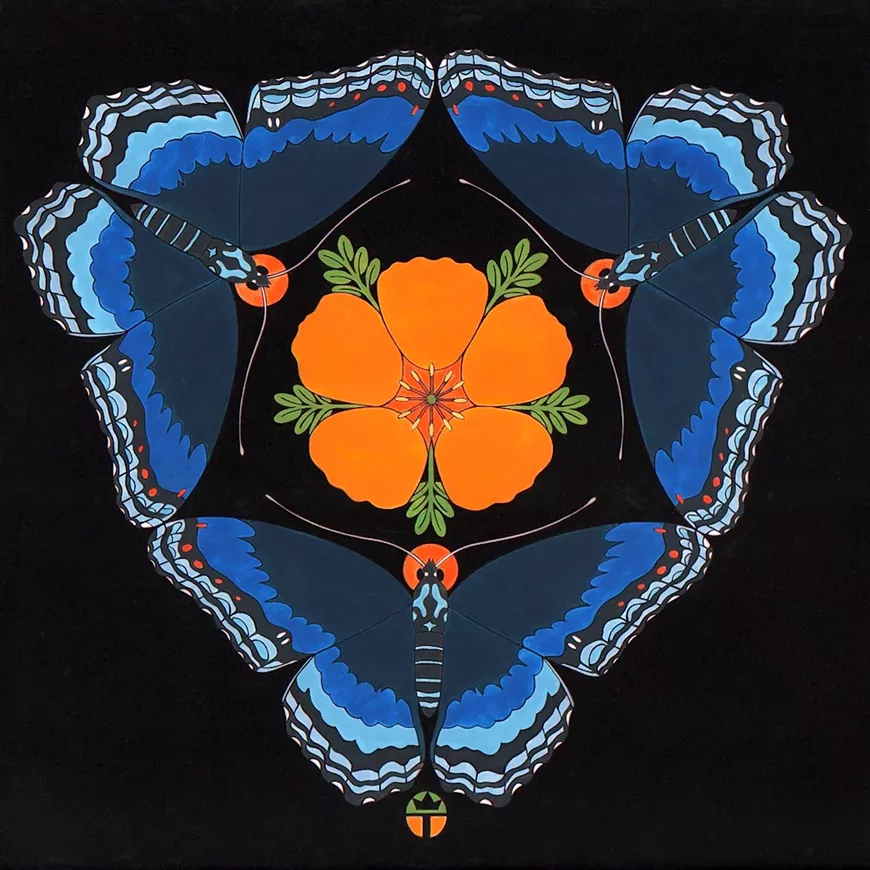 "Red Spotted Purple and Desert Poppy" by Wil Taylor