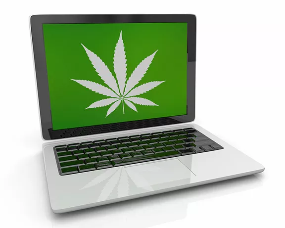 bigstock-marijuana-weed-pot-cannabis-ta-298379845.webp