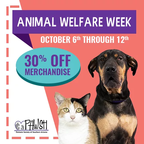 10.2019_30_merch_sale-_square.webp