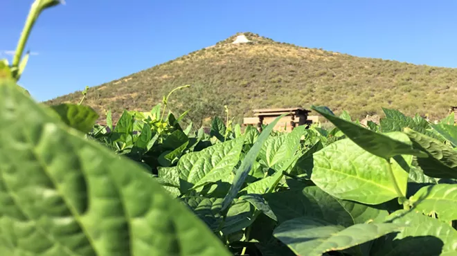 Image: Mission Garden Public Visits