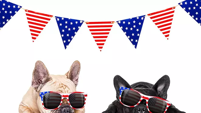 Image: PACC Offers Advice to Keep Pets Safe During Fireworks