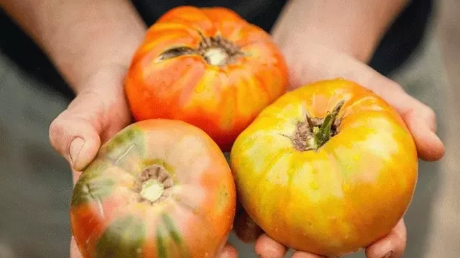 Image: Plaza Palomino Saturday Mercado