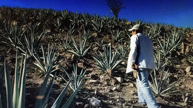 Image: Every Thursday Mezcal Tasting with Doug Smith
