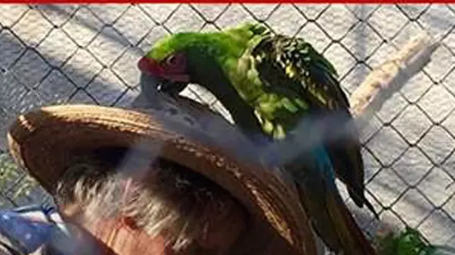Image: Our Rio Compartido—Santa Cruz River Thru the Lens of Videographer Mike Foster