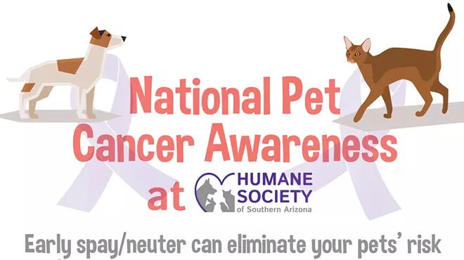 Image: National Pet Cancer Awareness month at HSSA