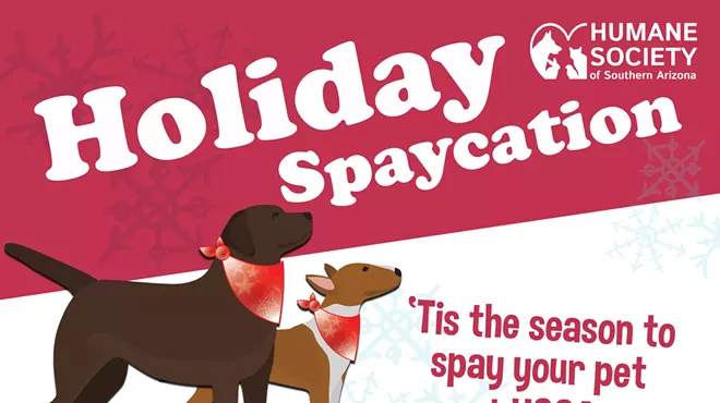 Image: HSSA's Holiday Spaycation