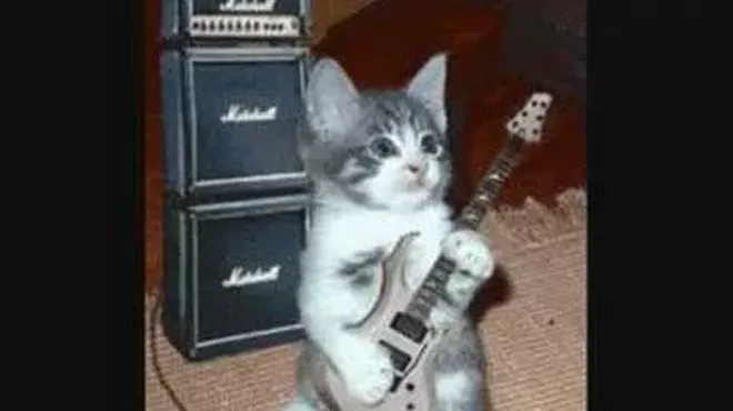 Image: Tom Cat and the Prowlers 70's Classic Rock