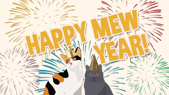 Image: HSSA Spay/Neuter Clinic's Happy Mew Year