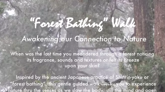 Image: Awakening Our Connection to Nature - "Forest Bathing" Walk