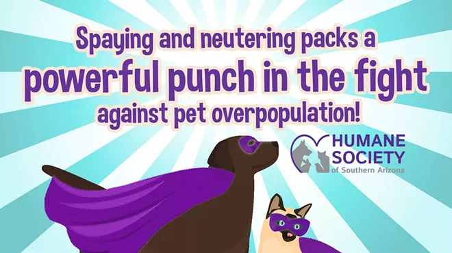 Image: February Spay/Neuter Discount