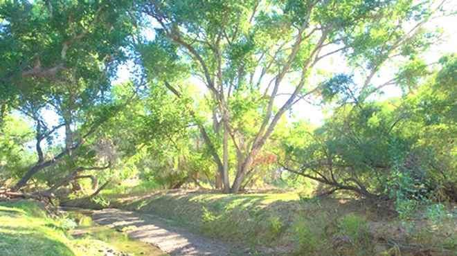 Image: Art as a Way of Knowing the Santa Cruz River with Lee Ann woolery