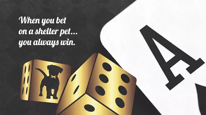 Image: 21st Annual Puttin' on the Dog Gala