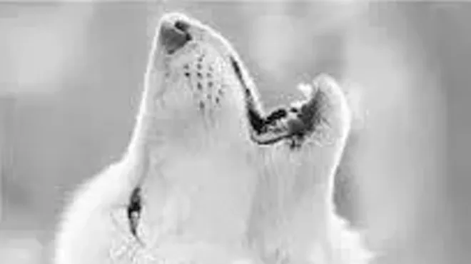 Image: The Secret Life of Animals