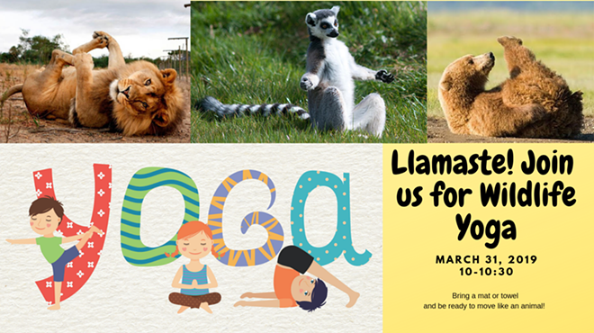 Image: Wildlife Yoga for Kids