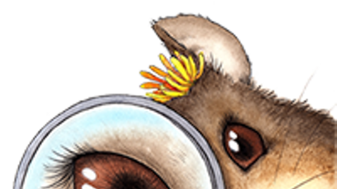Image: Packrat Party