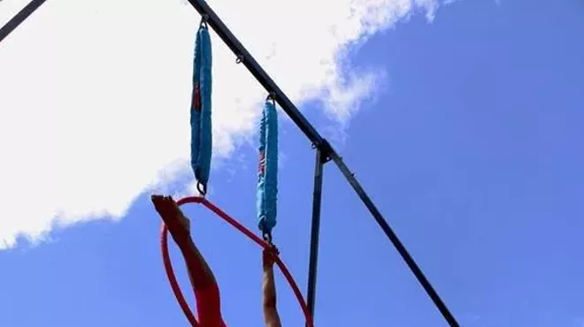 Image: Lyra (Aerial Hoop)