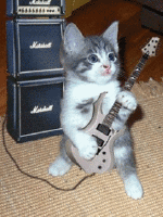 Image: Tom Cat and the Prowlers for:pets and Vets