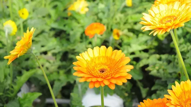 Image: Climate and Moral Responsibility in Arizona