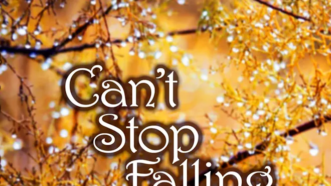 Image: Can’t Stop Falling—A Caregiver’s Love Story—By Bill Stephenson--Reading and Launch Party