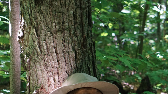 Image: Let's take a walk in the cool of the trees