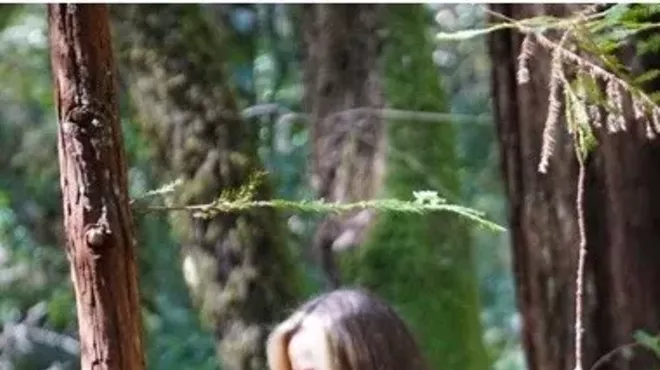 Image: Forest Bathing Amongst the Confiers