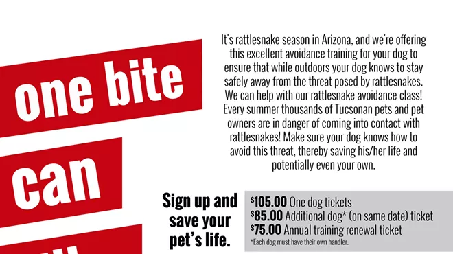 Image: Rattlesnake Avoidance Training