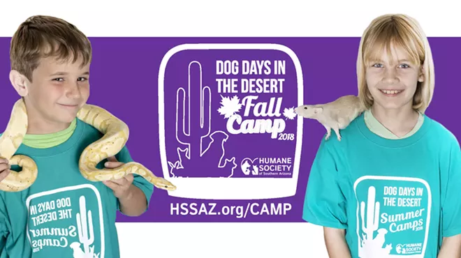 Image: Dog Days in the Desert Summer Camp