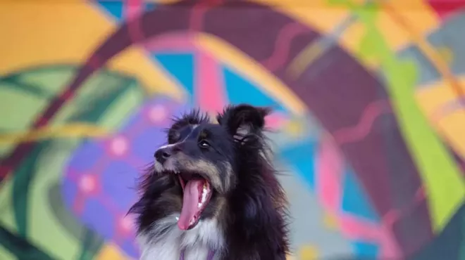 Image: FREE Third Thursday: Yappy Hour